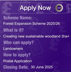 Forest Expansion Scheme 25-26 information