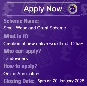 Small Woodland Grant Scheme apply now box. Scheme to create new native woodland 0.2ha, open to landowners, closes 20 Jan 2025