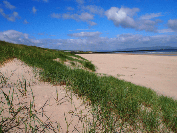 View over Bann Estuary, Special Area of Conservation